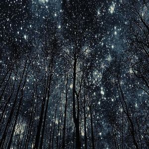 Meet your Posher, Ricky